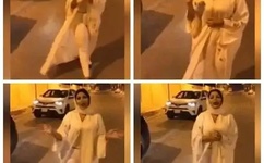 原神旅行者和甘雨拔萝卜